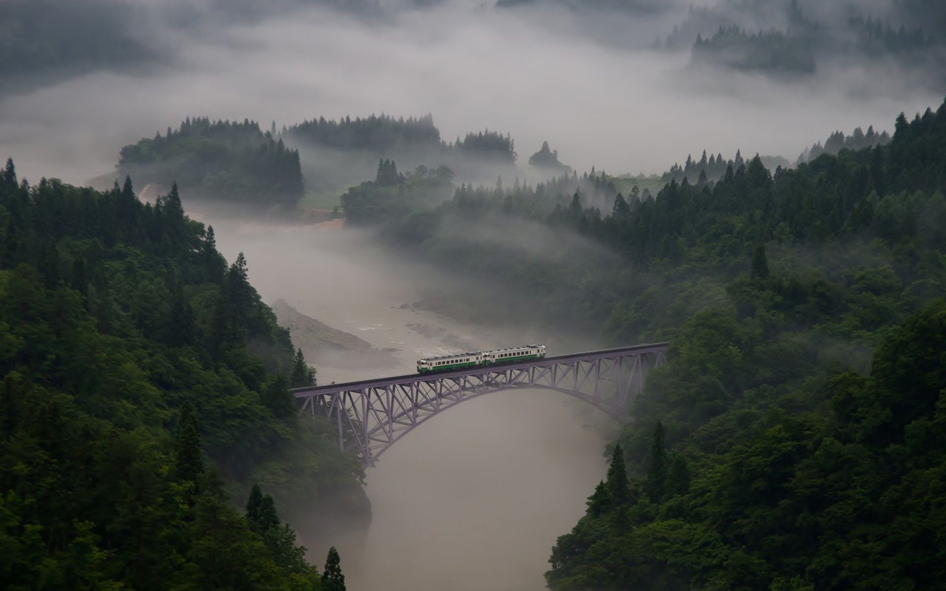 1920x1200 Nature mountain forest landscape national geographic fog ultrahd 4k wallpaper wallpaperx1200