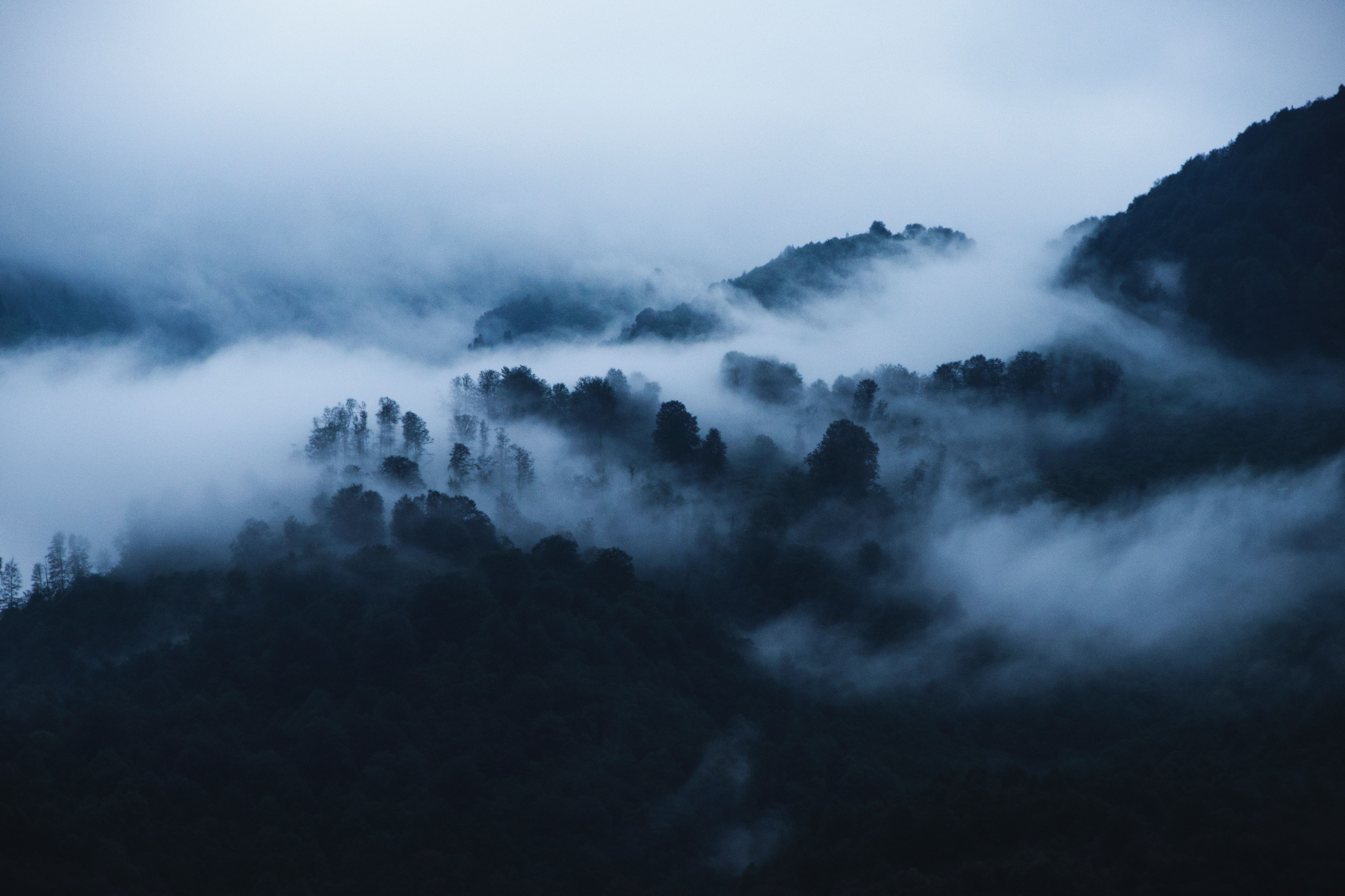 4800x3200 Nature Fog 4k Ultra HD Wallpaper