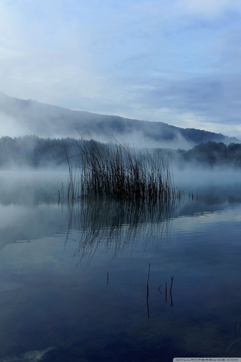 768x1152 Foggy Lake Ultra HD Desktop Background Wallpaper for 4K UHD TV : Widescreen & UltraWide Desktop & Laptop : Tablet