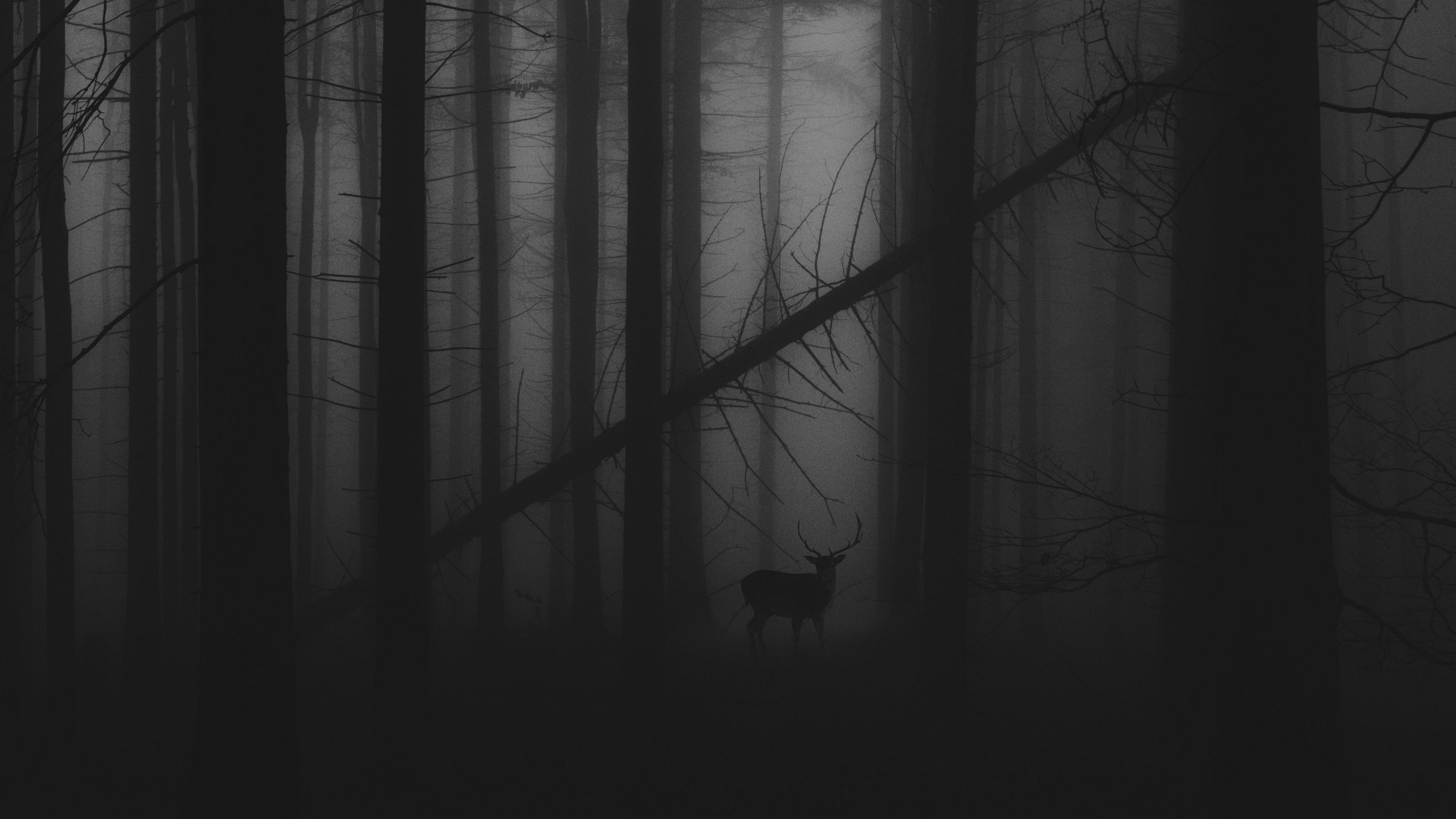 3840x2160 4k Mist Wallpaper