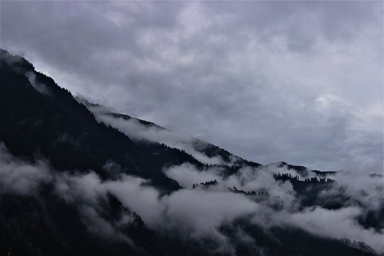 1280x853 Fog Mountain Fir Trees
