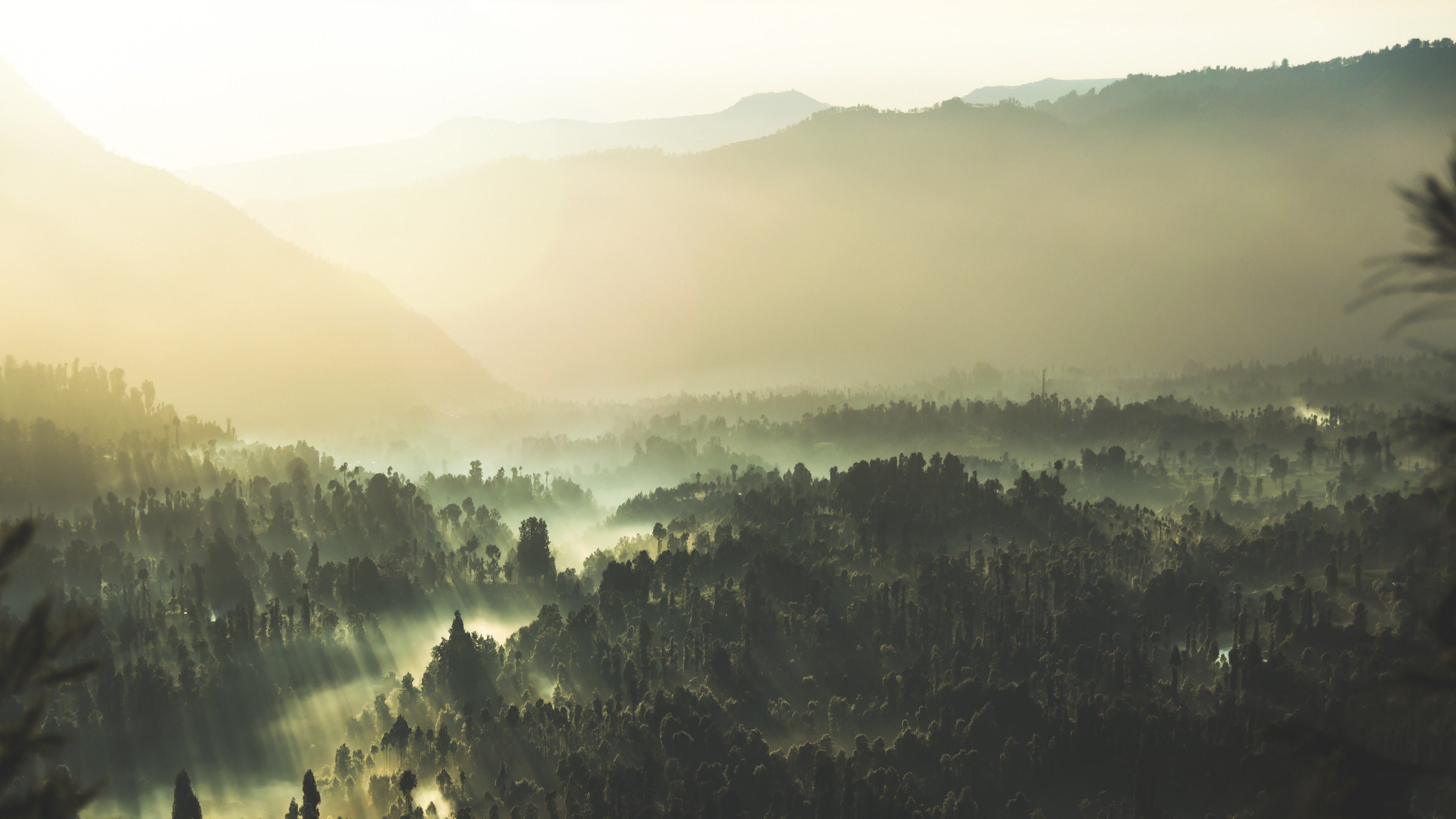 3840x2160 Wallpaper / rays of sun shining onto the trees of the bromo tengger semeru national park, sun rays 4k wallpaper free download