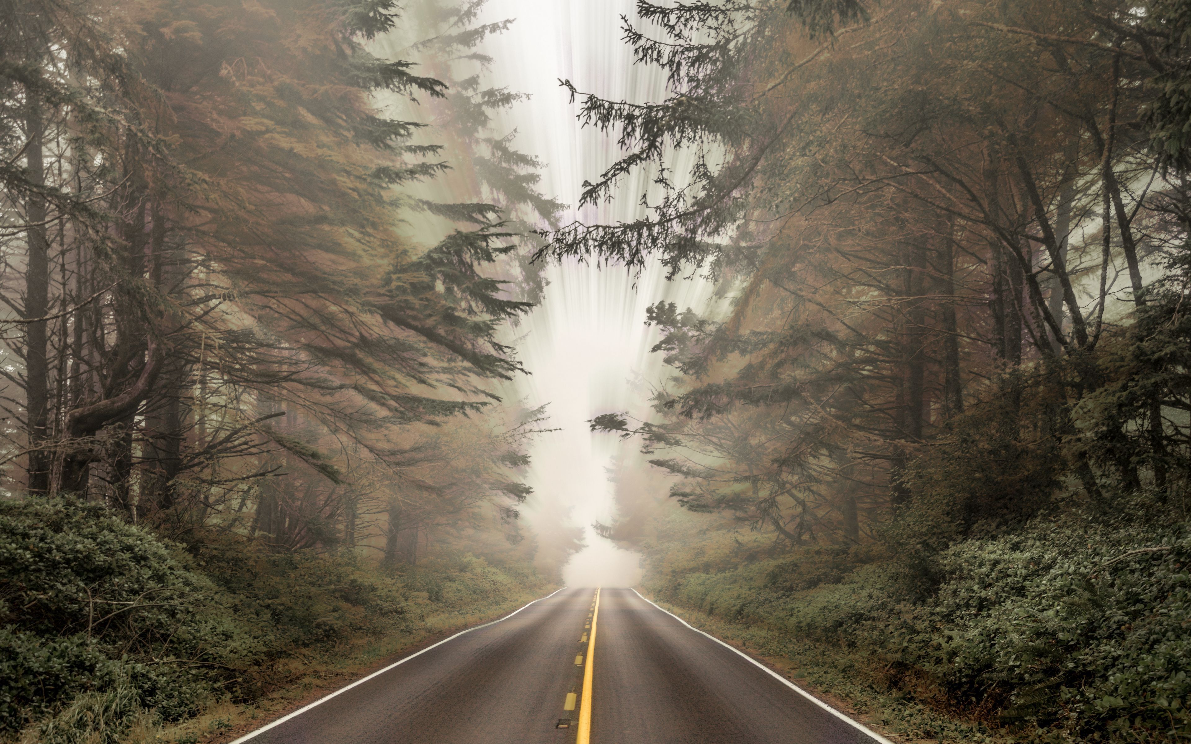 3840x2400 Download Wallpaper Forest, Road, Landscapes, Fog, Bushes, Blur, Asphalt, Distortion, 4k Ultra HD Background, Time Lapse Photography, Markings, Section Landscapes In Resolution 3840x2400
