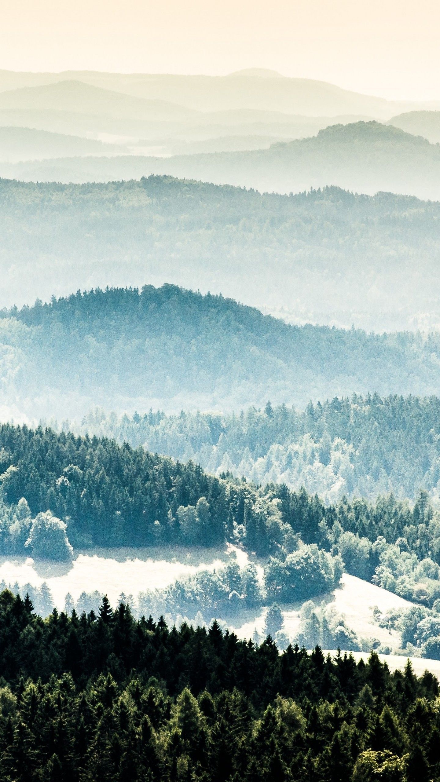 1440x2560 Wallpaper foggy, mountains, 4k, Nature