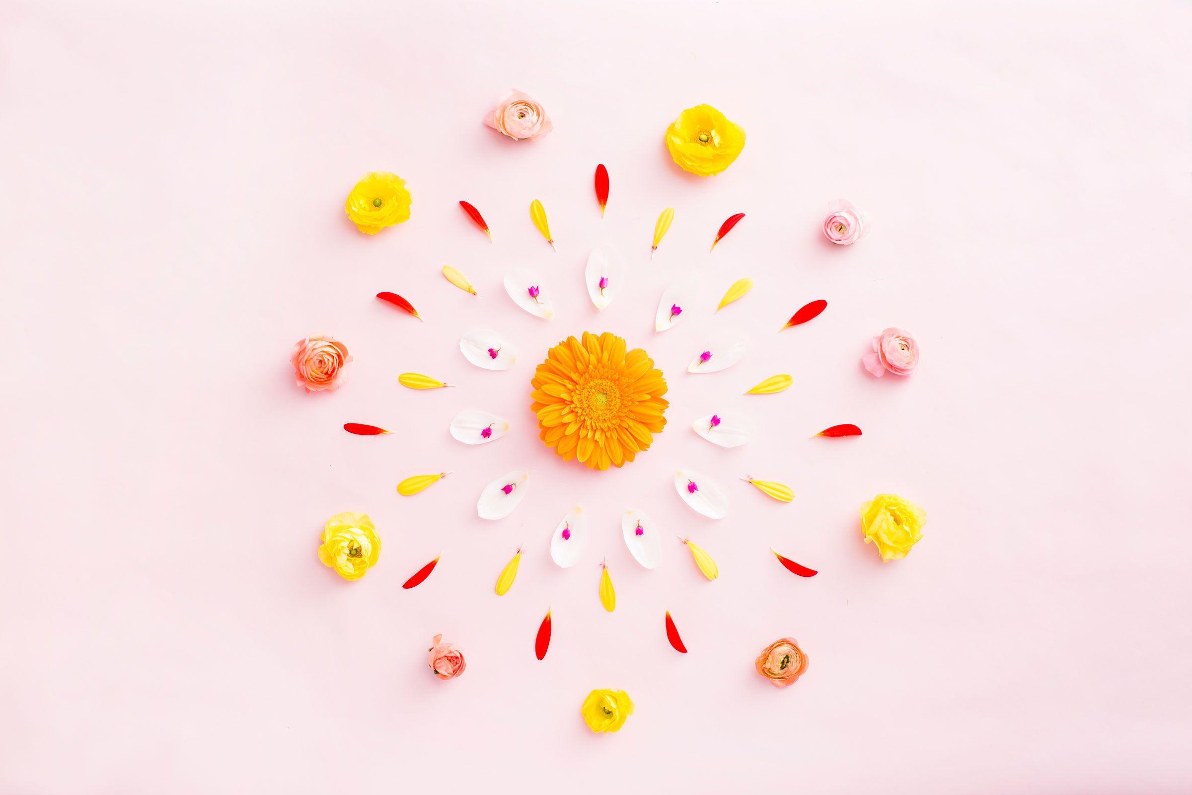 2400x1600 Brand New Desktop and Smartphone Wallpaper for Spring