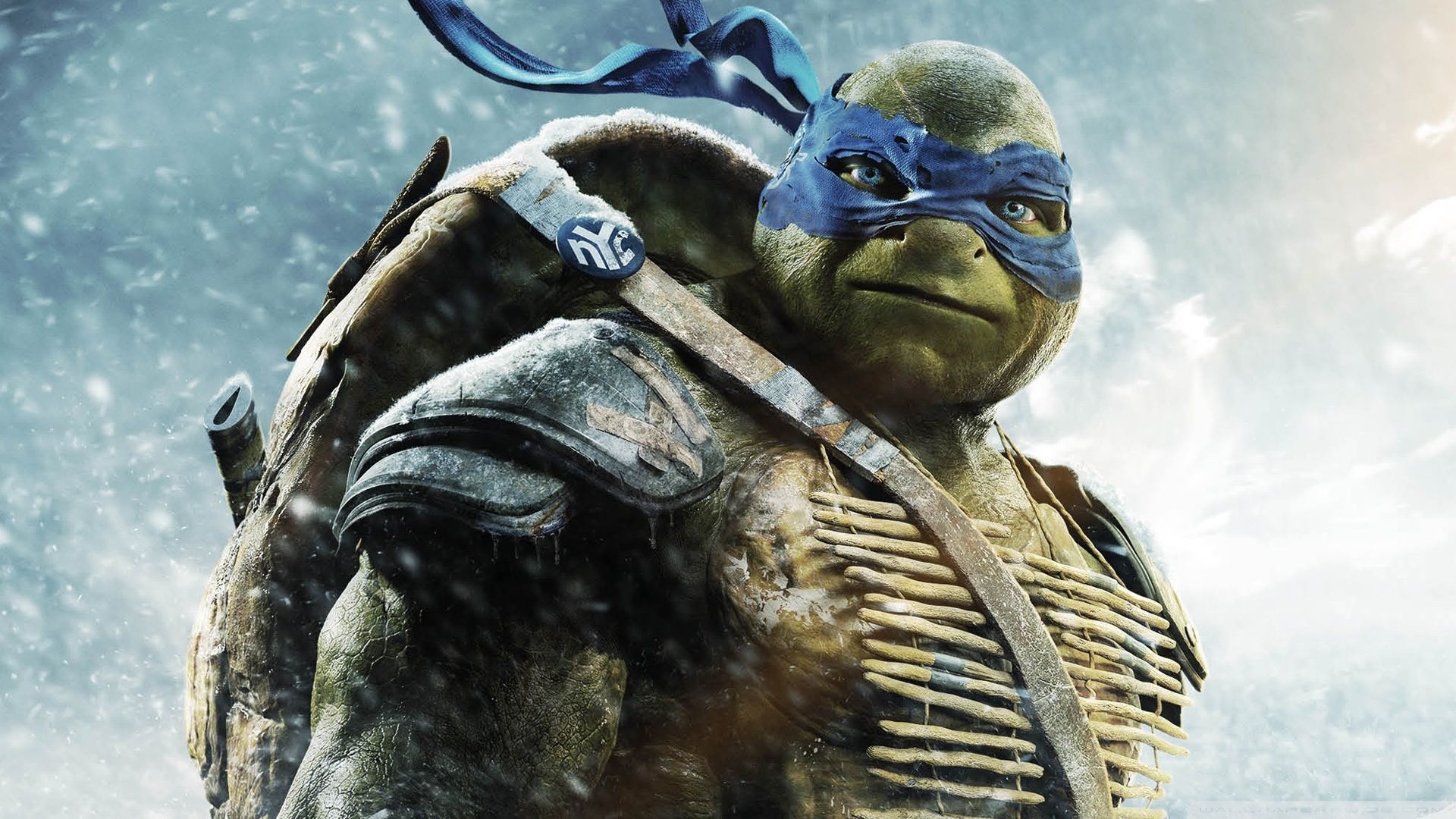 1920x1080 Leo TMNT Ultra HD Desktop Background Wallpaper for 4K UHD TV : Widescreen & UltraWide Desktop & Laptop : Tablet