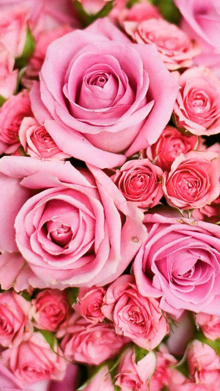 736x1308 Gorgeous iPhone 7 & 7 Plus Wallpaper
