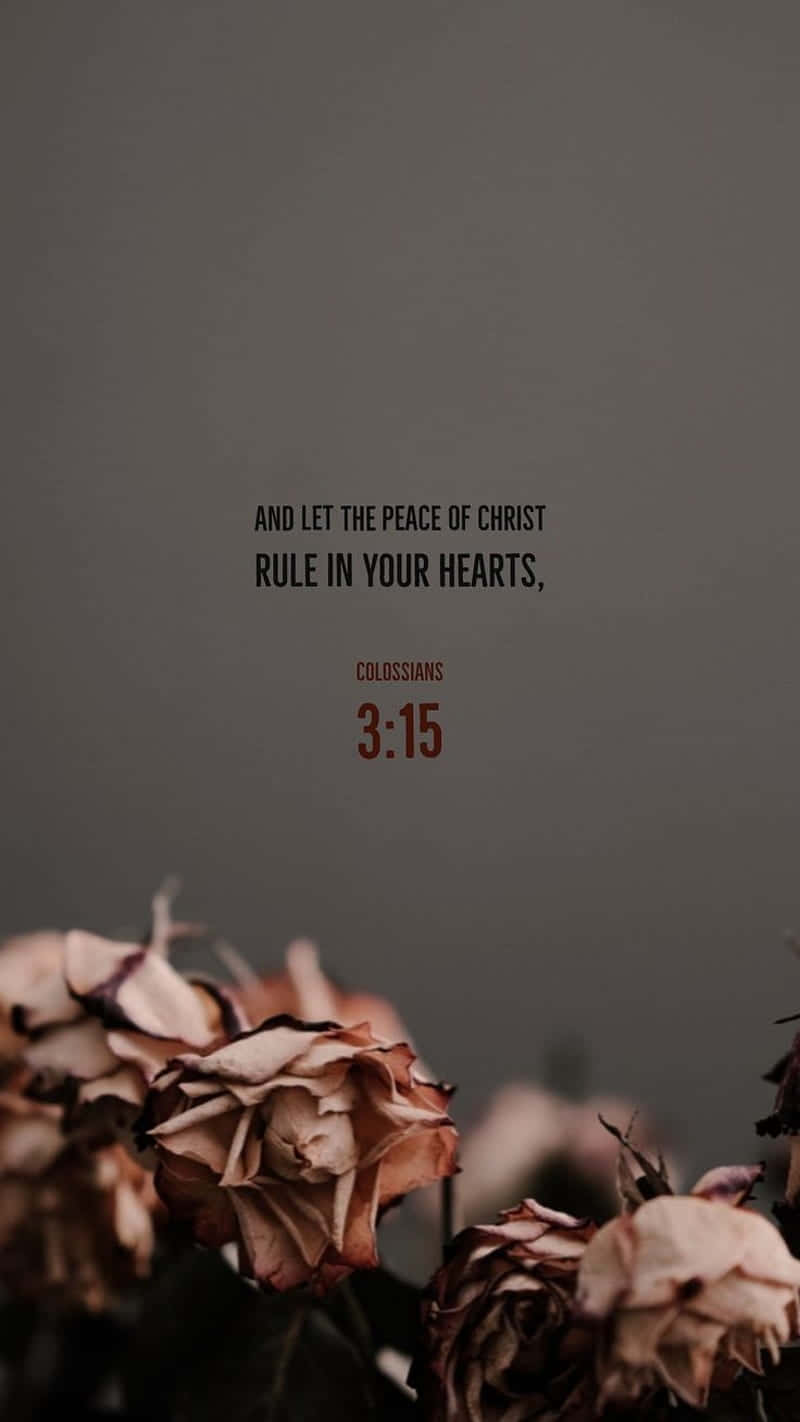 800x1422 Download Jesus Is King Quotes Wallpaper