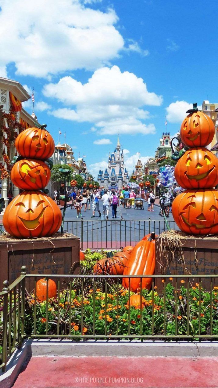 715x1271 Cute Pumpkin Wallpaper