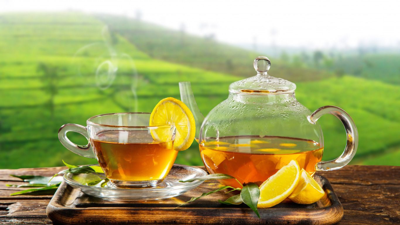 1366x768 Download wallpaper greens, leaves, the sun, landscape, table, background, lemon, tea, field, hot, kettle, couples, Cup, Board, saucer, bokeh, section food in resolution 1366x768