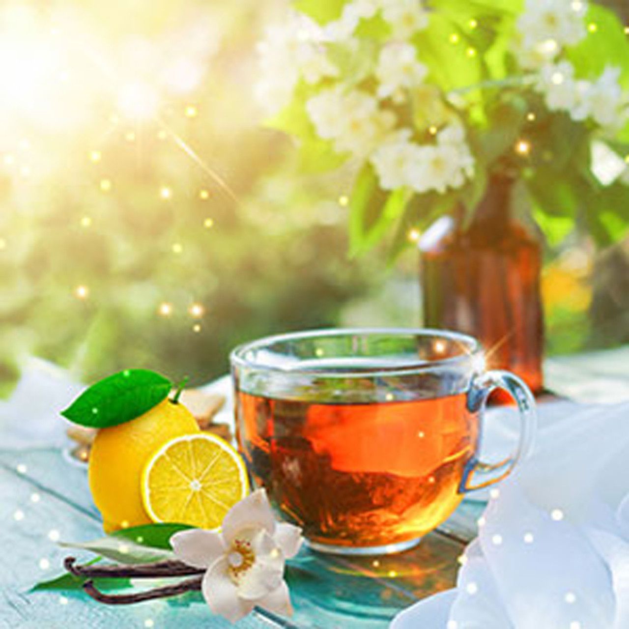 1280x1280 Lemon Vanilla Shimmer Fragrance Oil's Garden Candles