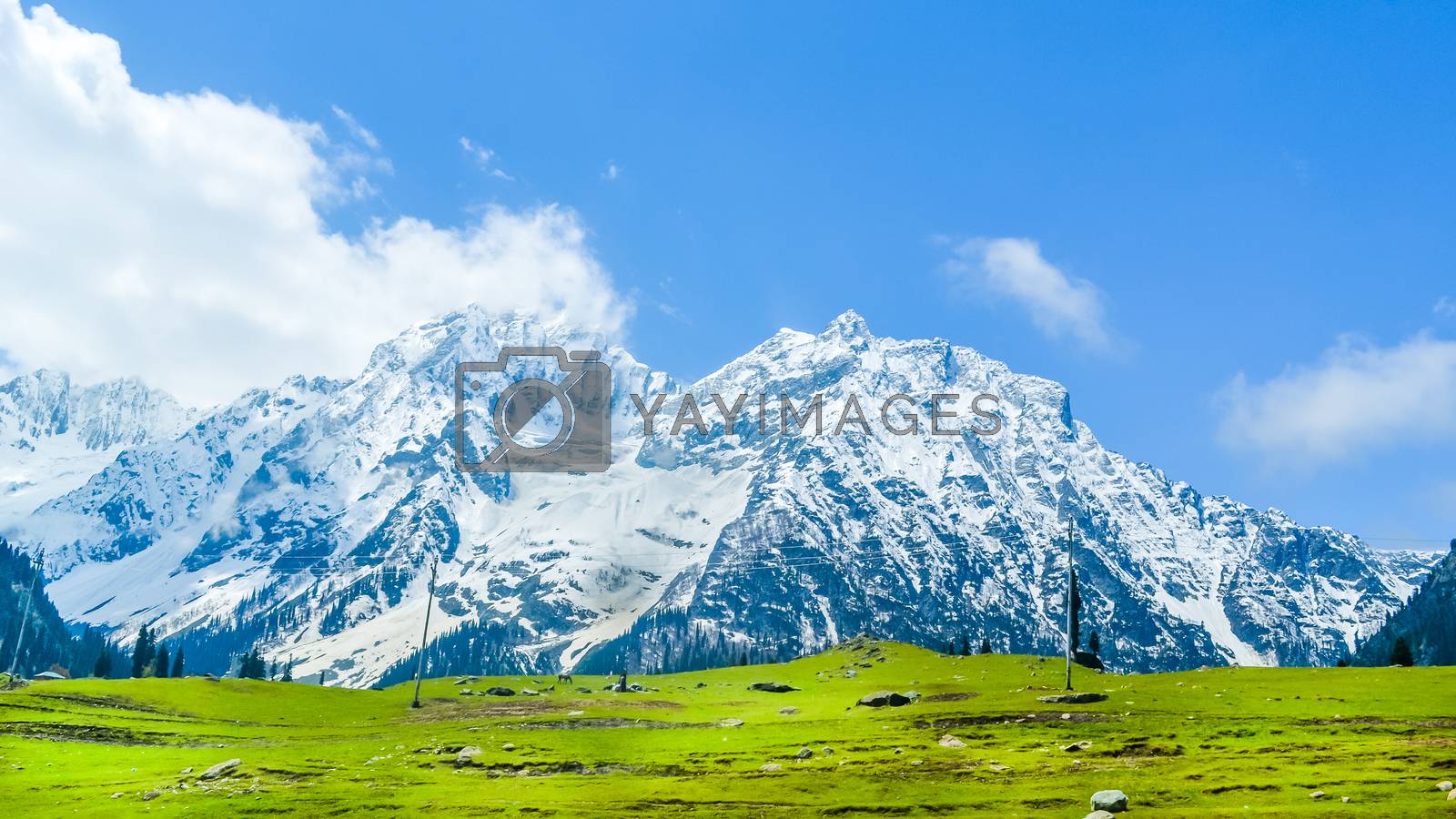 Pahalgam wallpapers top free pahalgam backgrounds wallpaperaccess