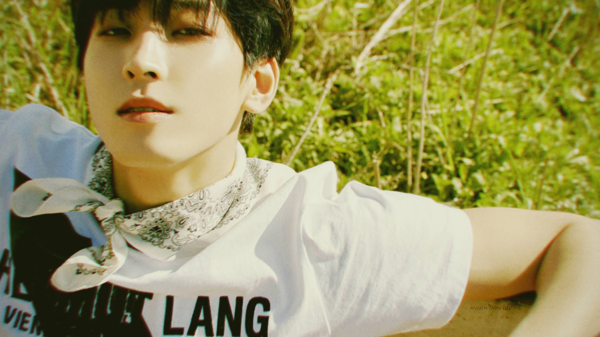 Wonwoo Desktop Wallpapers - Top Free Wonwoo Desktop Backgrounds ...