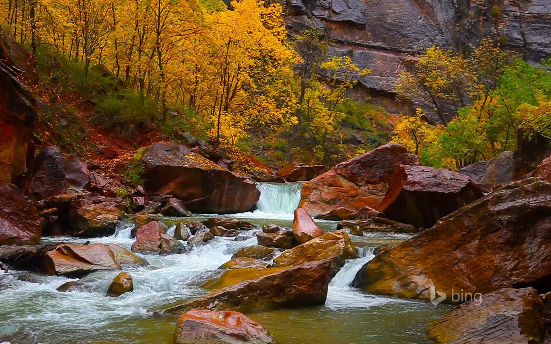 1920x1200 North Fork of the Virgin River, Zion Canyon, Utah