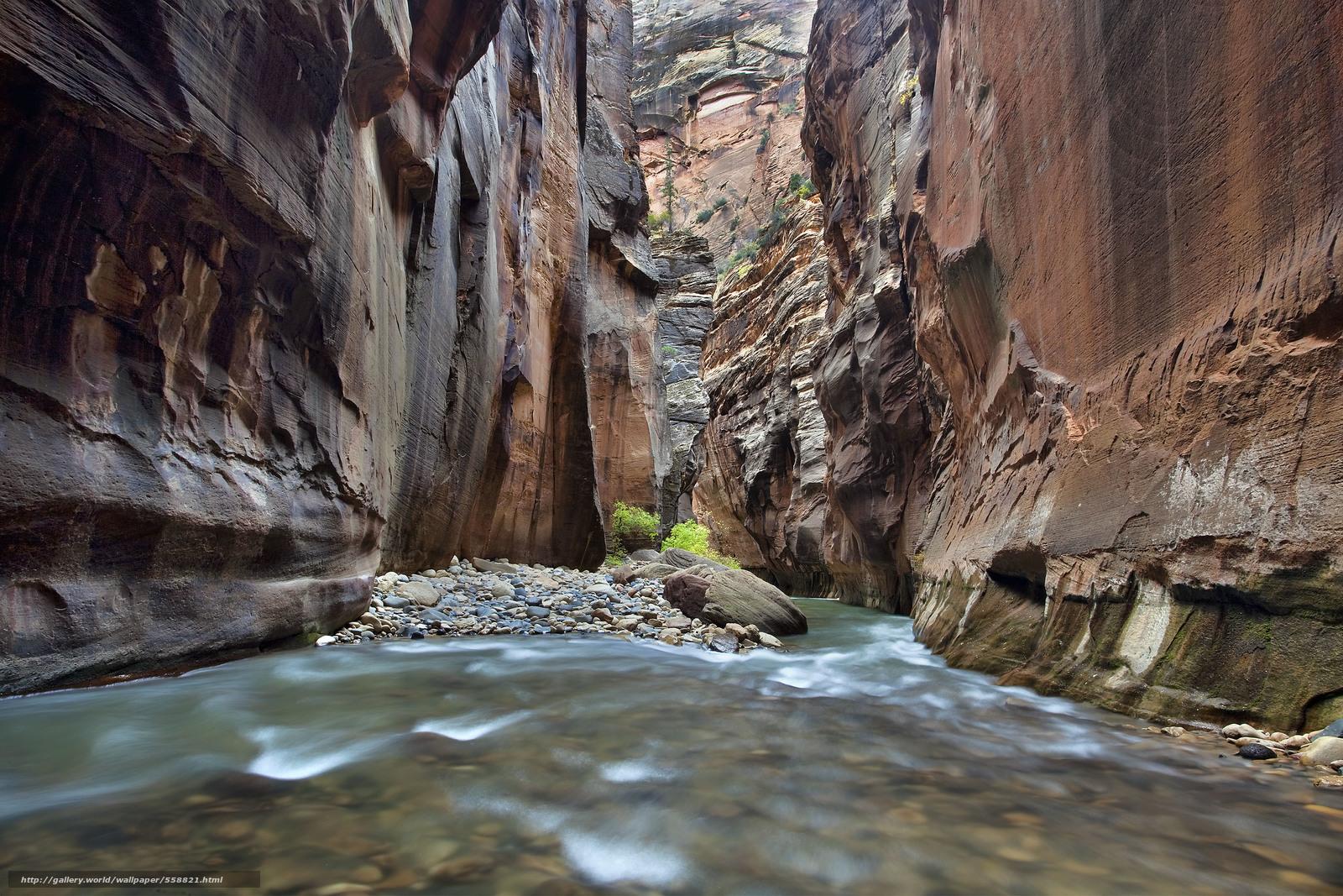 1600x1067 Virgin River Zion National Park Wallpaper