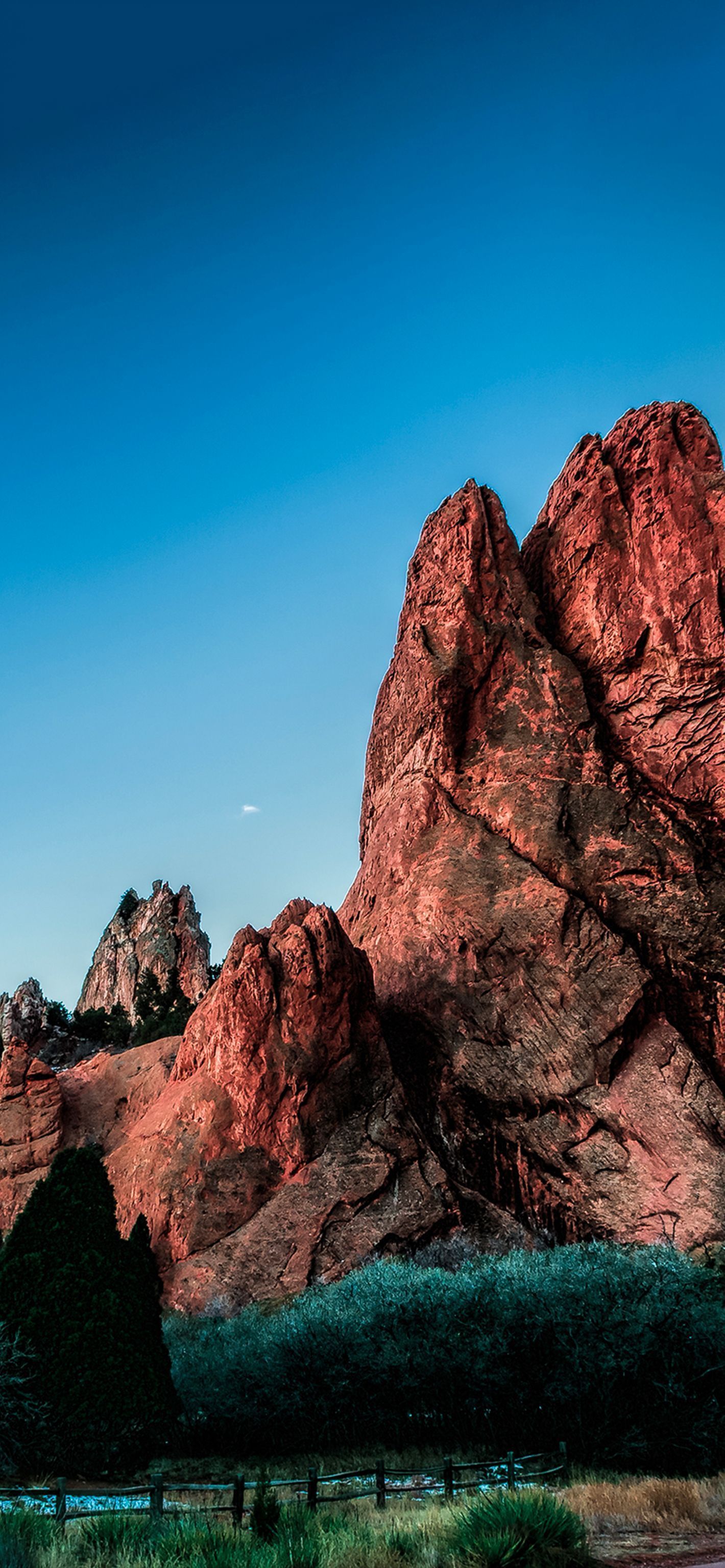 1420x3073 Garden of Gods