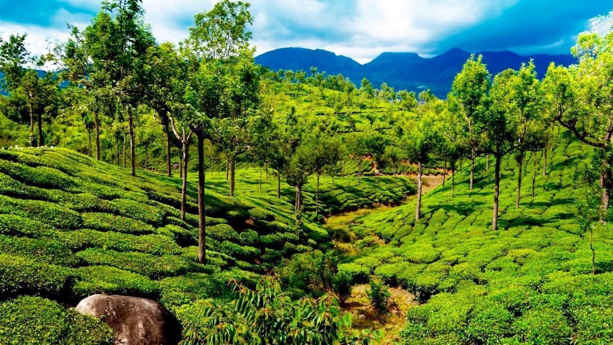 1200x675 What Fertiliser Crisis?' Meet India's Pioneer Movement Paving The Path To Chemical Free Farming