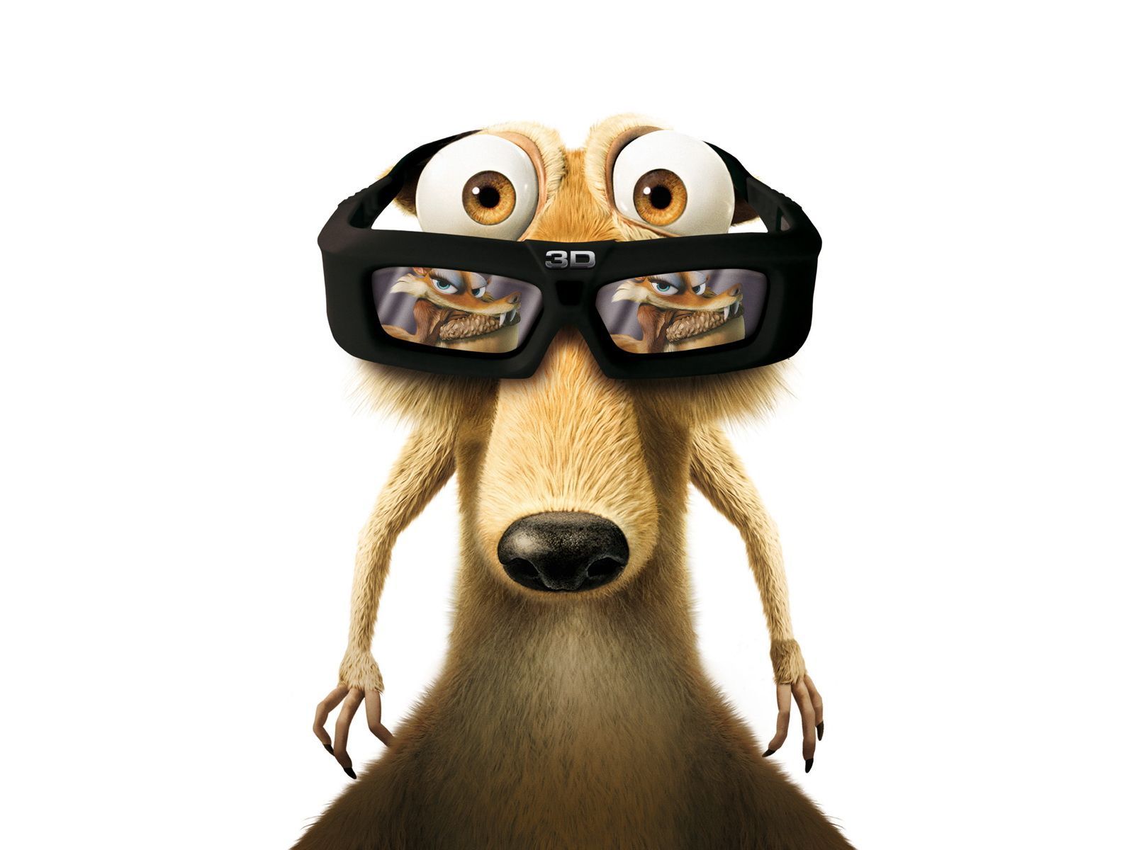 1600x1200 Funny Moving Image Free Download