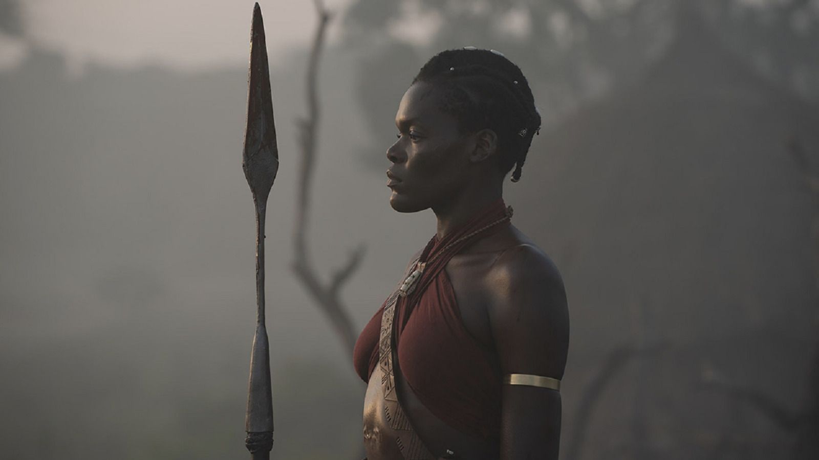 1600x900 Everything The Woman King Gets Wrong About The True Story