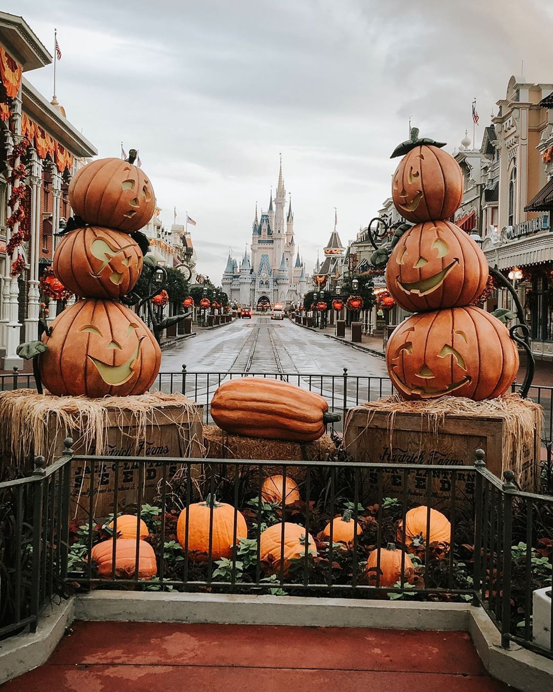 1080x1350 All The Halloween Autumn Feels