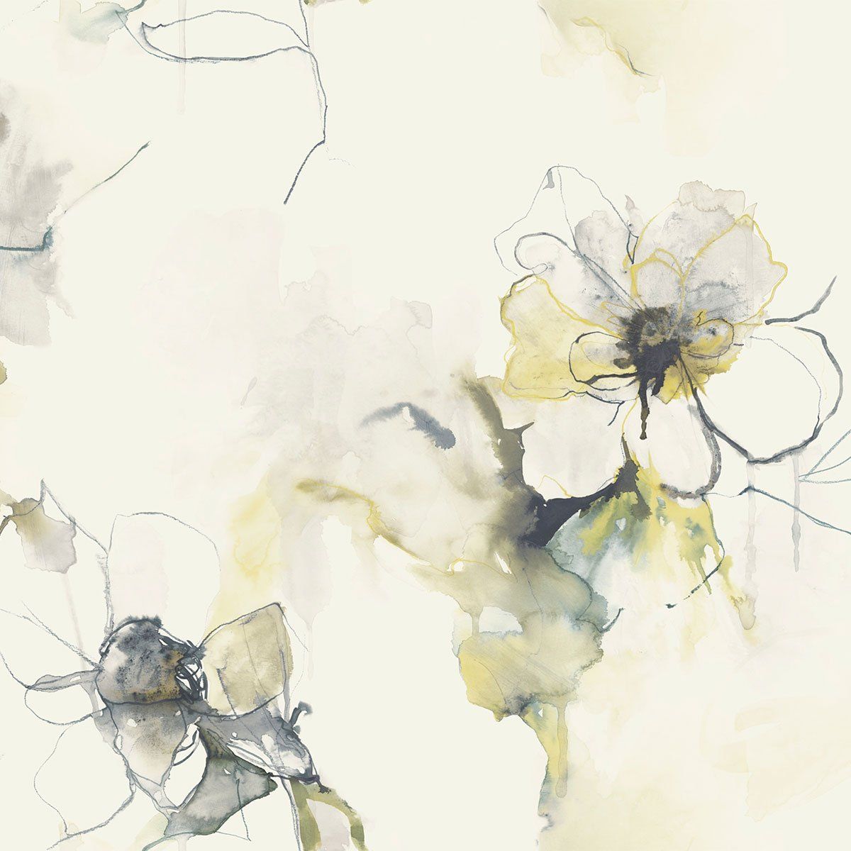 1200x1200 Seabrook Designs Anemone Watercolor Floral Dark Ash & Canary Wallpaper