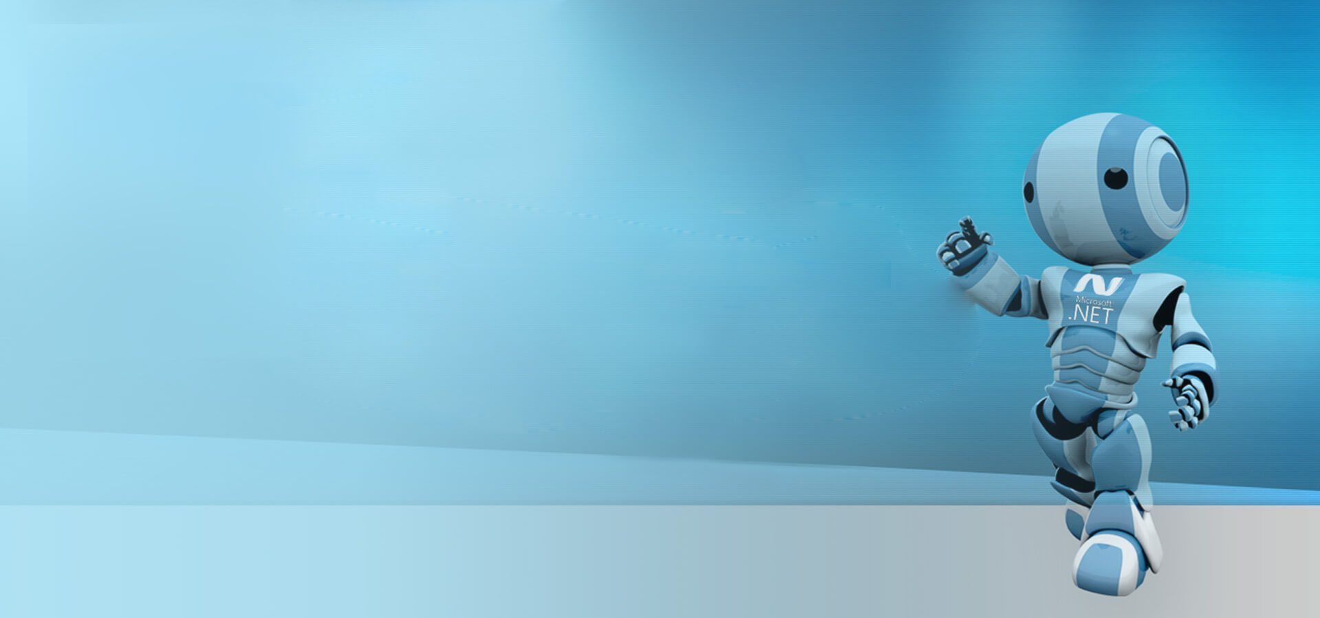 1920x900 ASP Net Development Company