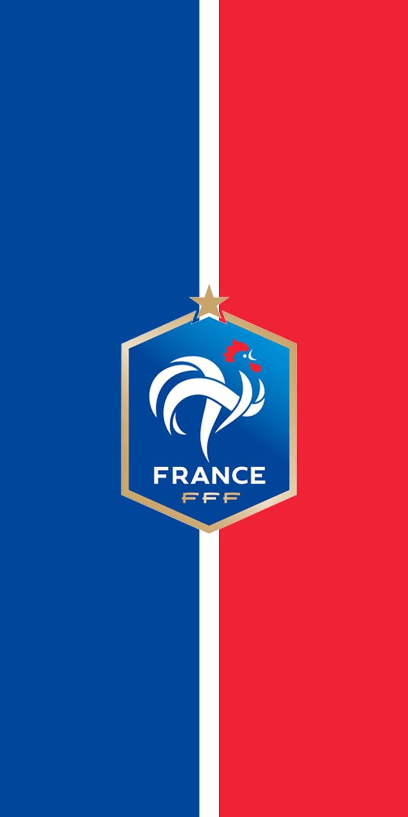 800x1600 France, club, football, france, logo
