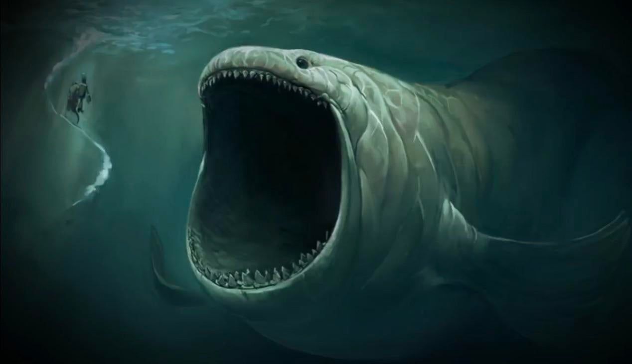 Bloop Wallpapers Top Free Bloop Backgrounds