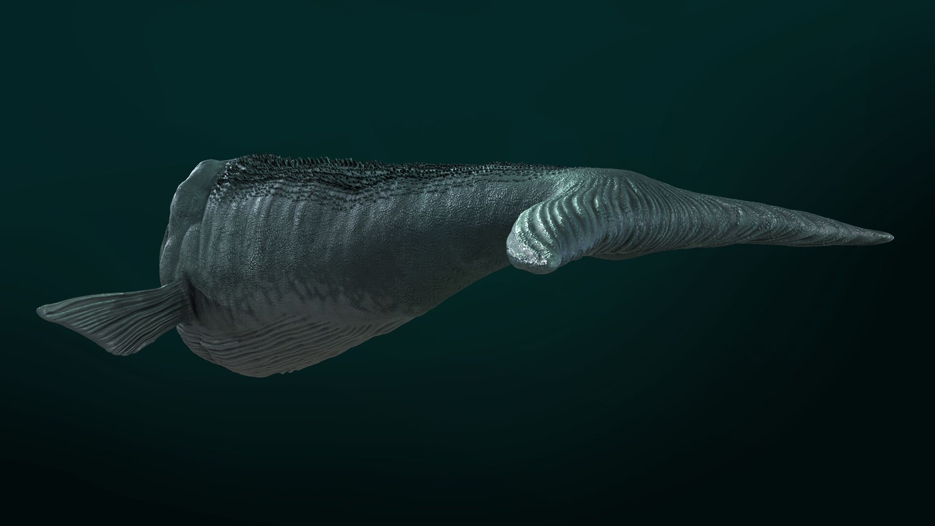 1920x1080 The Bloop