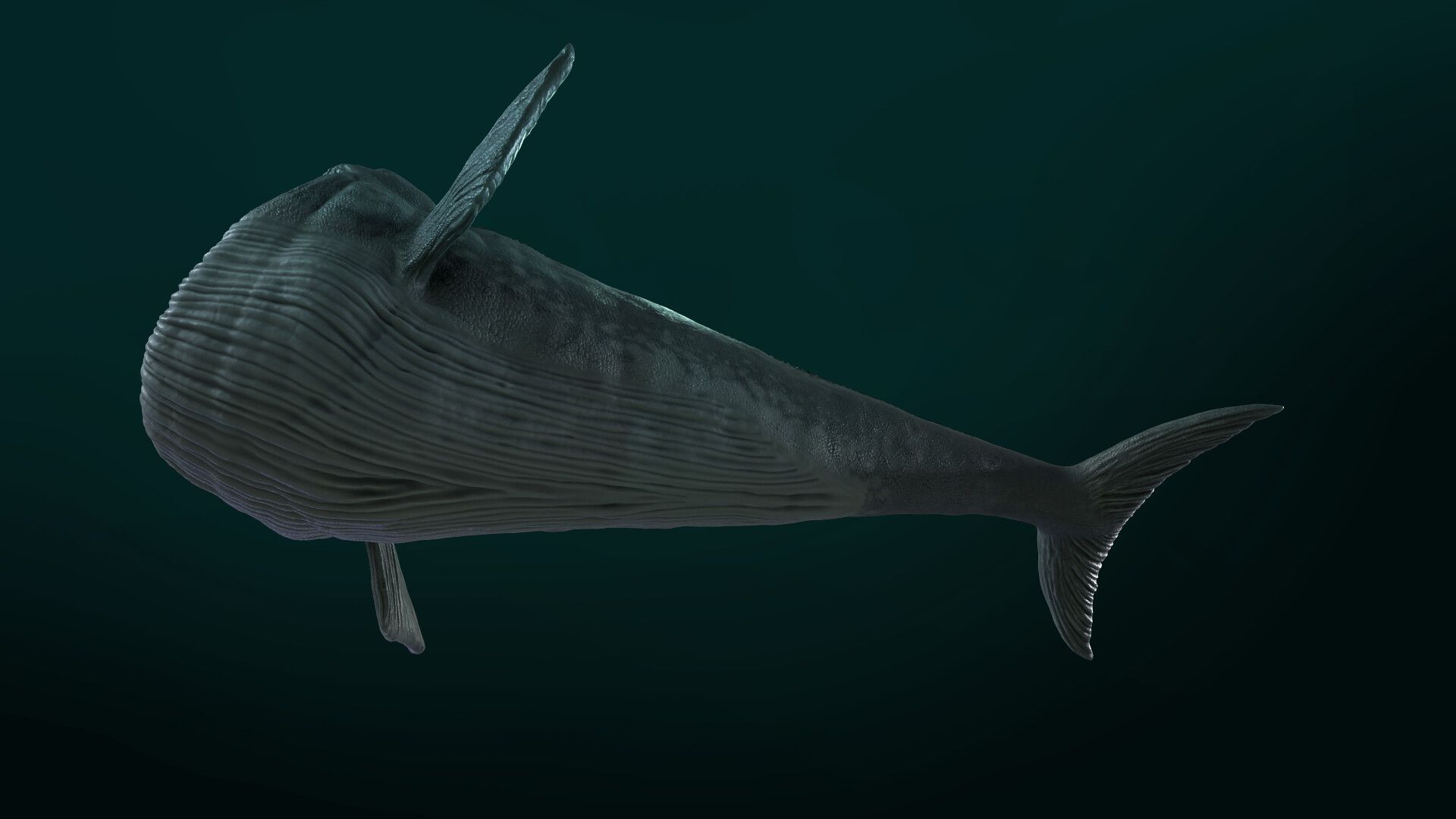 1920x1080 The Bloop