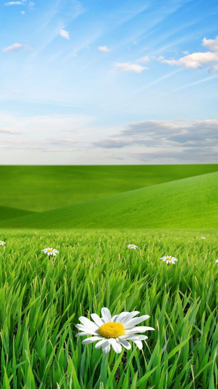 Eye Protection Wallpapers Top Free Eye Protection Backgrounds