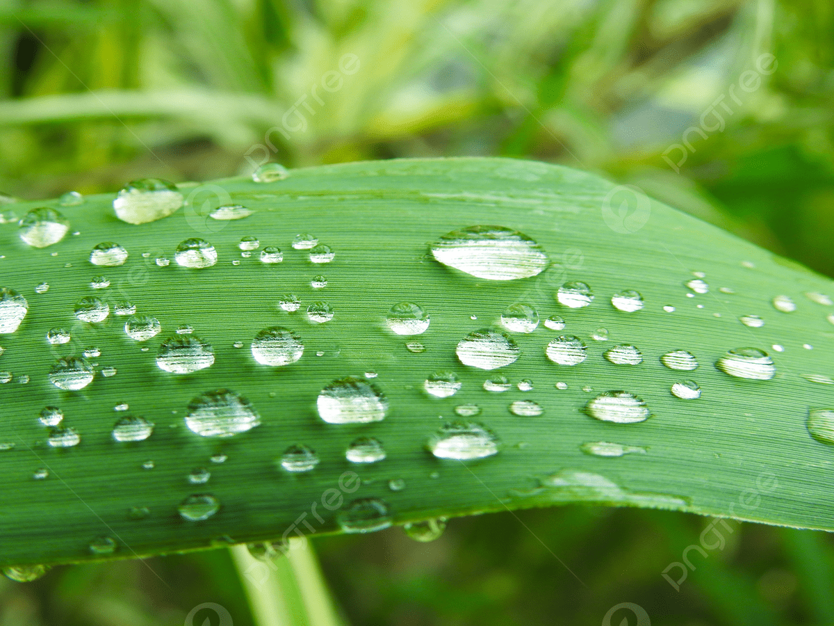 1200x900 Photo Of Green Eye Protection Wallpaper Background, Green, Simple, Fresh Background Image And Wallpaper for Free Download