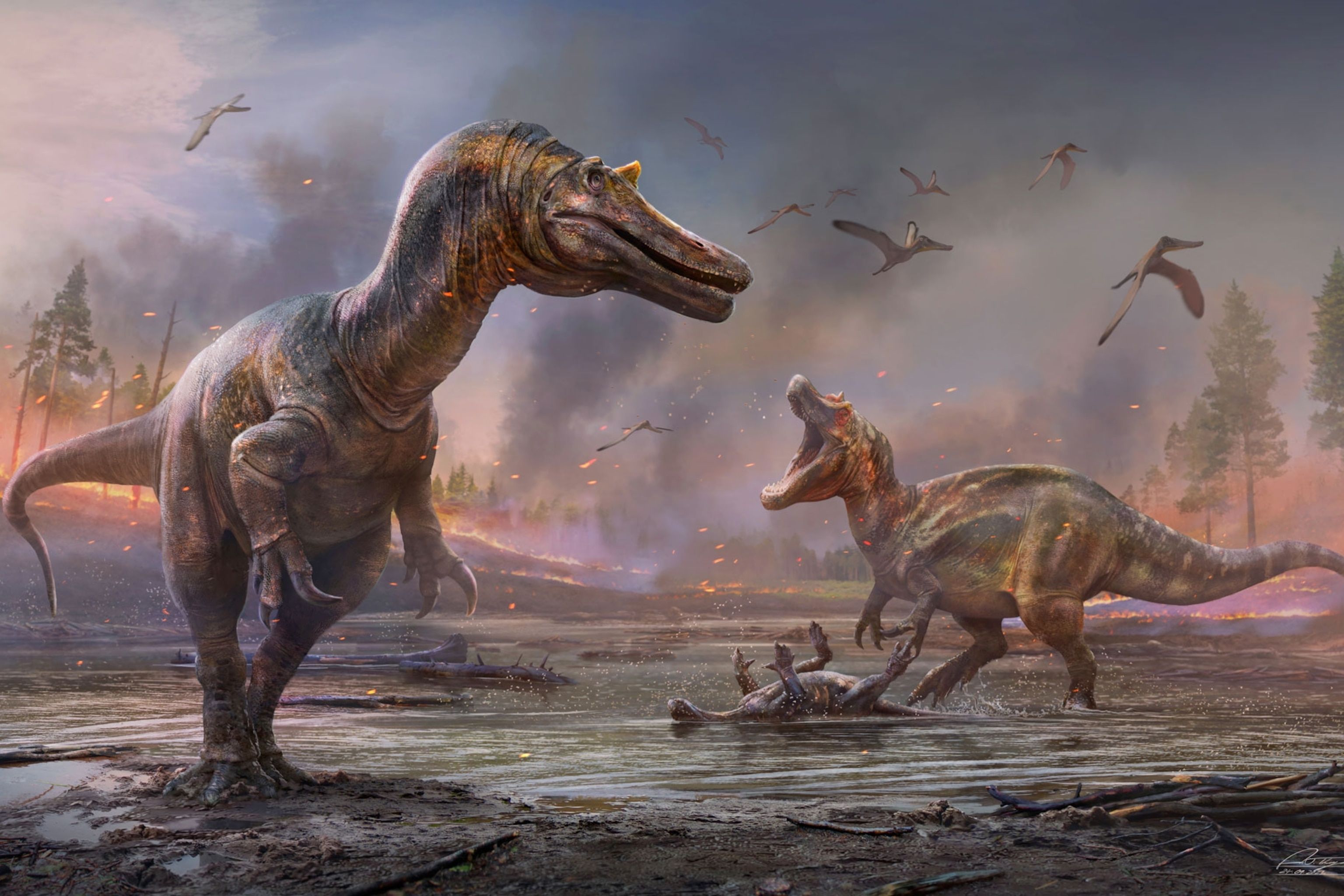 3072x2048 Fierce 'hell heron' dinosaur puts new wrinkles in Spinosaurus origin story