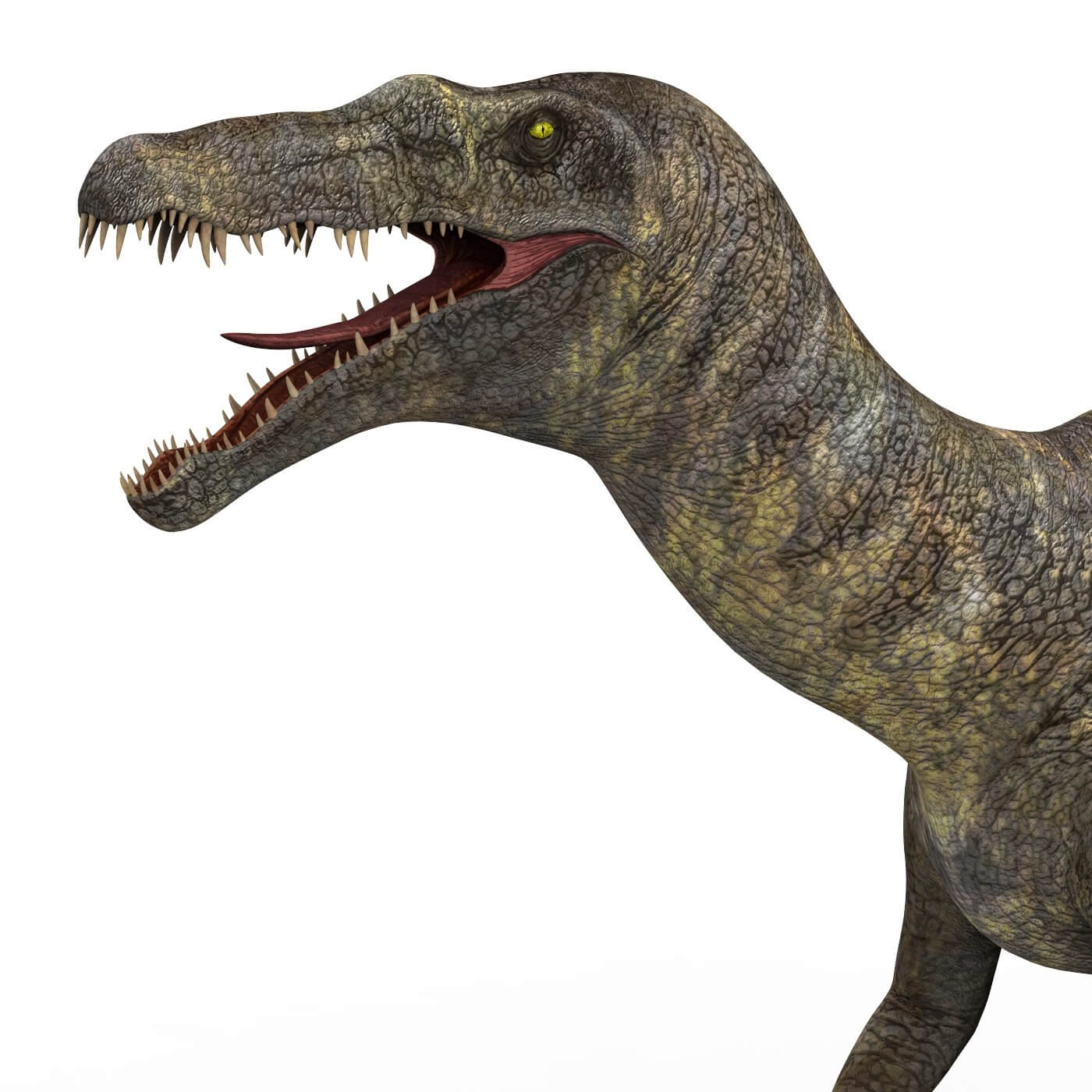 1400x1400 Baryonyx Dinosaur