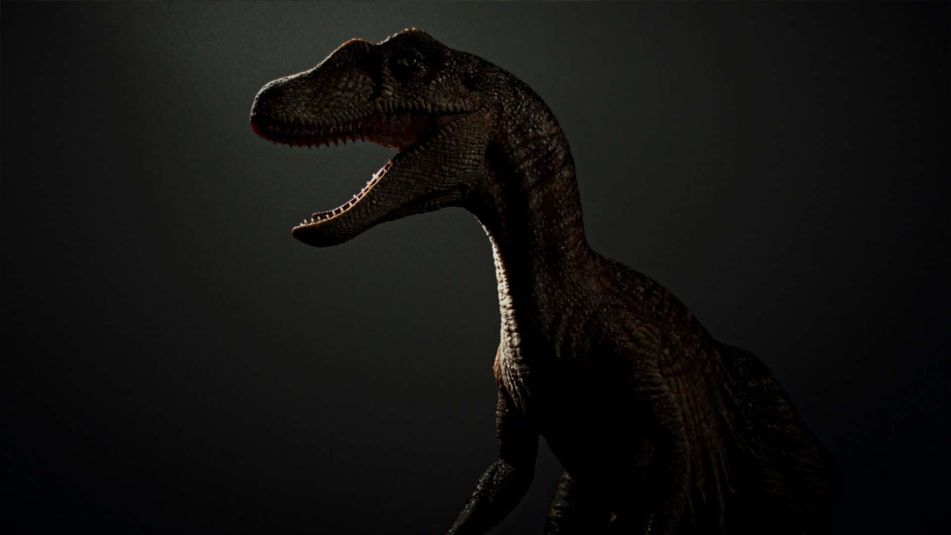 1920x1080 Black Dinosaur Wallpaper