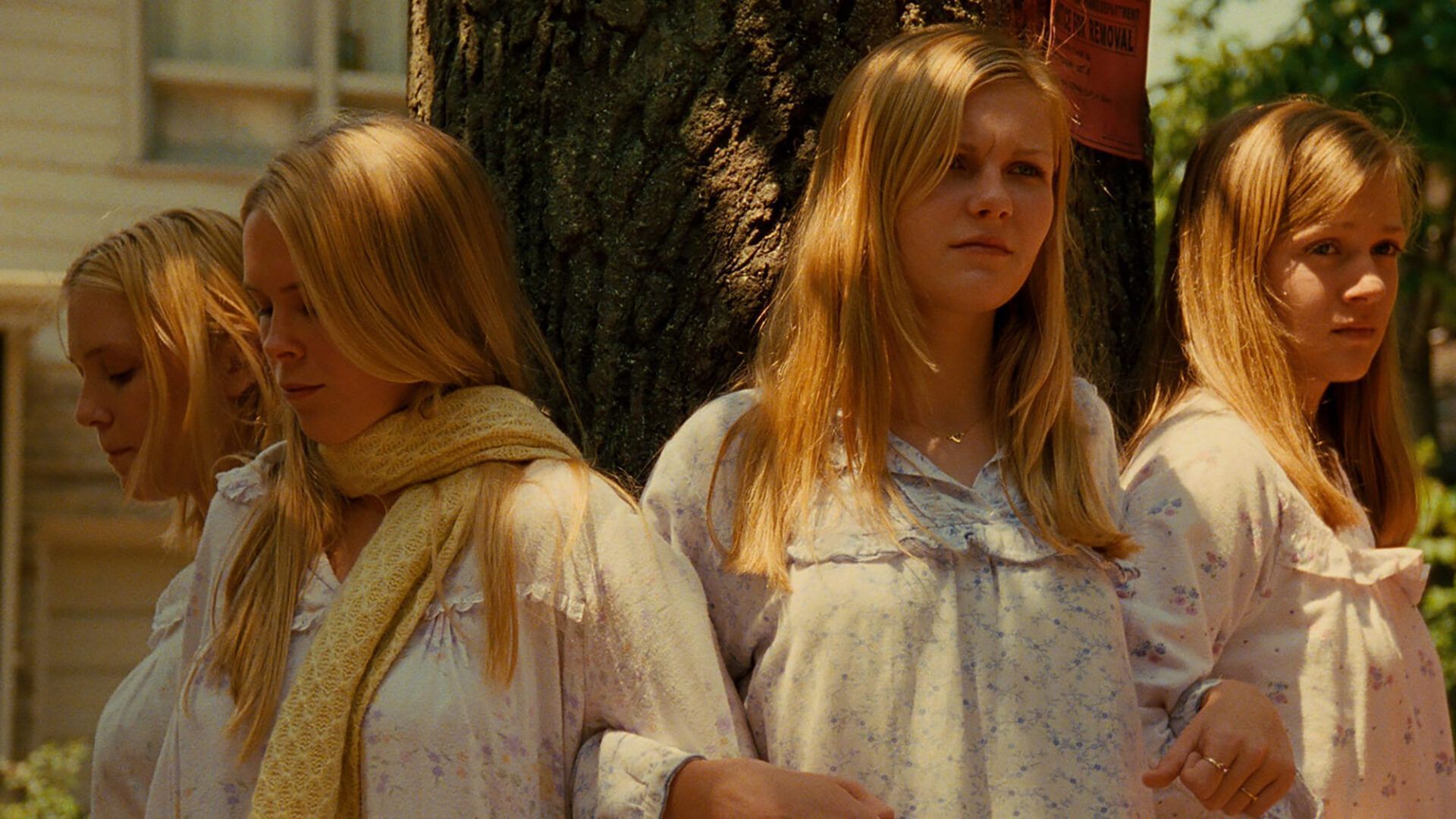 1920x1080 The Cinematheque / The Virgin Suicides
