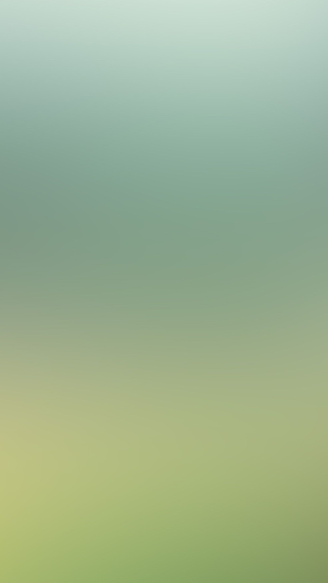 Green Money Wallpapers Top Free Green Money Backgrounds WallpaperAccess