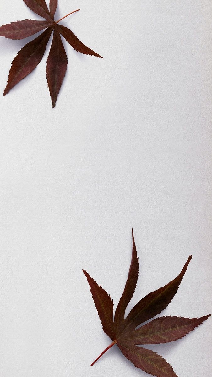 675x1200 Dried leaf patterned mobile wallpaper background. free image by rawpixel.com / sasi. Earth tones wallpaper iphone, Framed botanicals, iPhone wallpaper fall