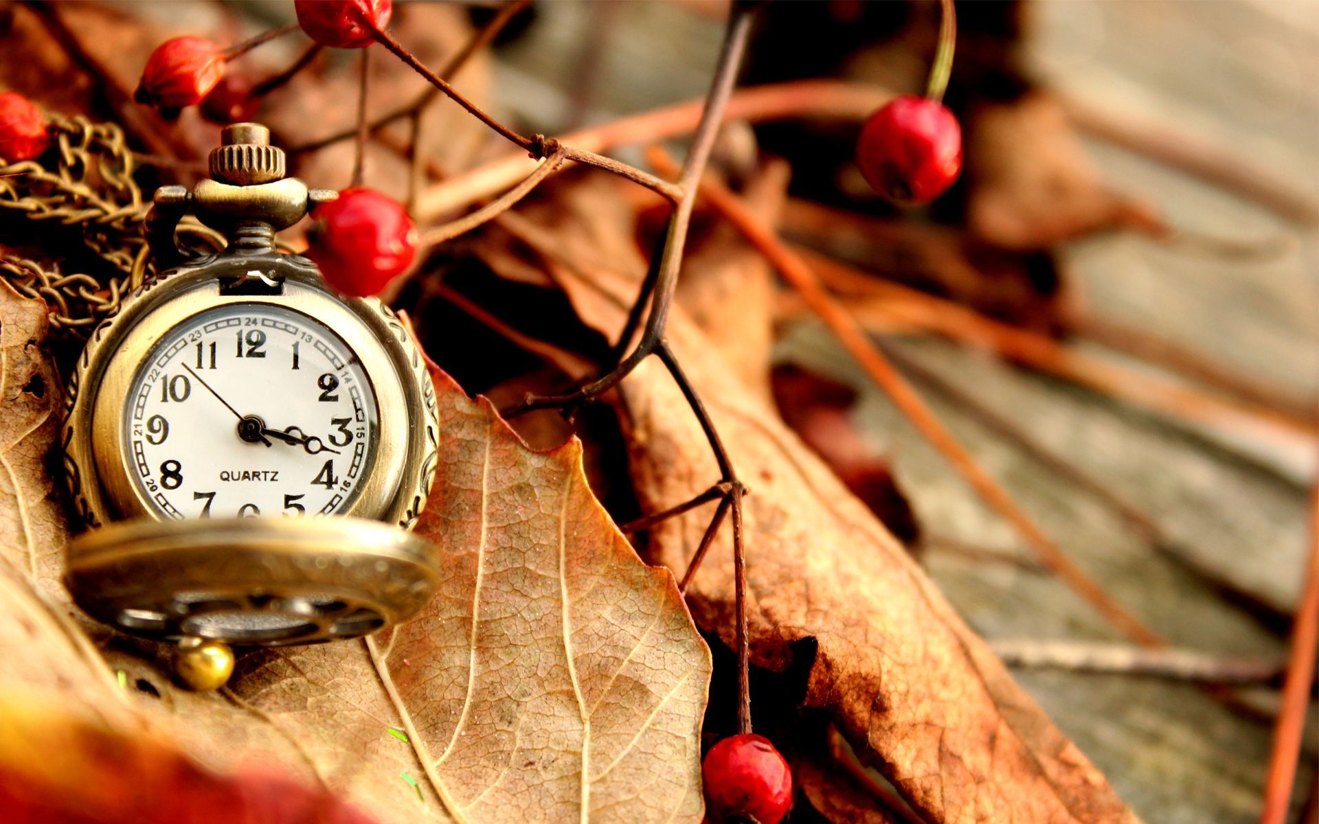 1920x1200 Pocket watch on dry leaves Desktop wallpaper 1024x600