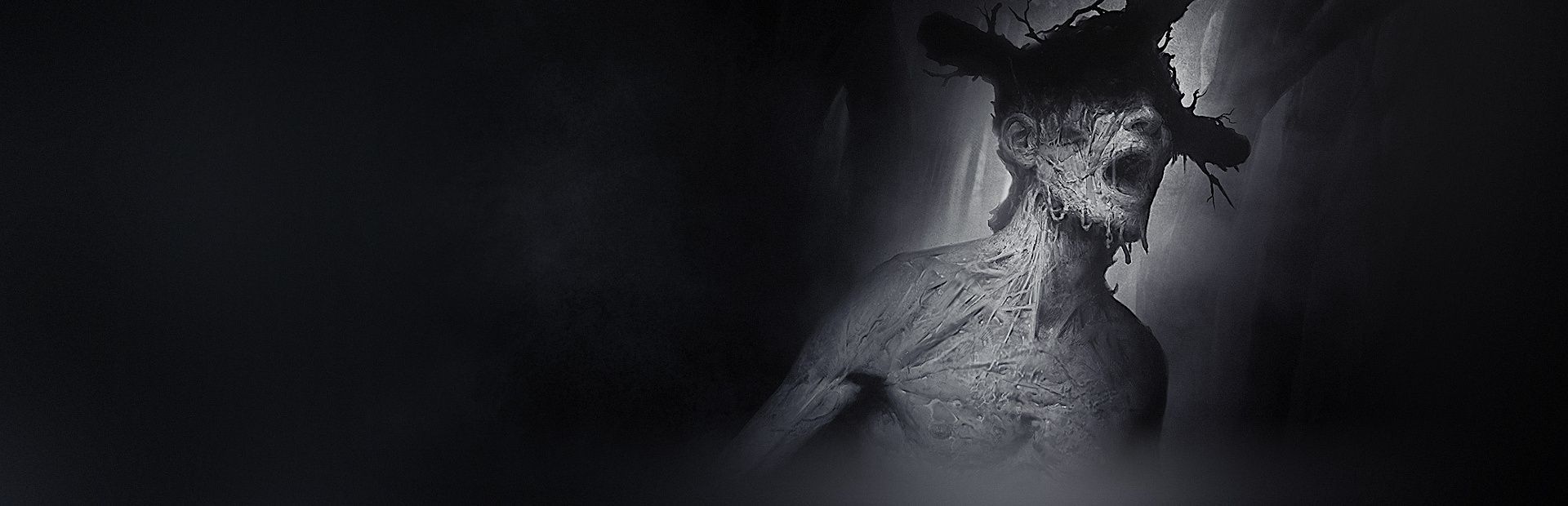 1920x620 Darkwood