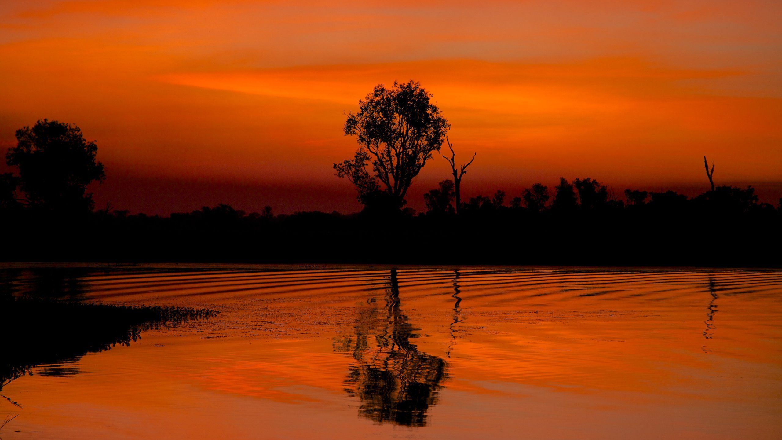 2560x1440 Visit Cooinda: 2023 Travel Guide for Cooinda, Kakadu