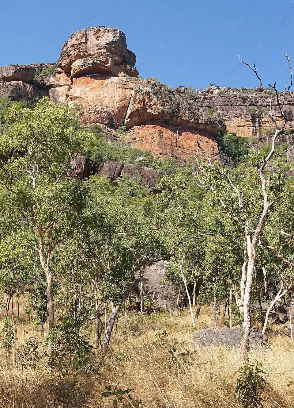 960x1330 Kakadu National Parkaustralia Travel Landscape Kakadu National Park Photo Background And Picture For Free Download