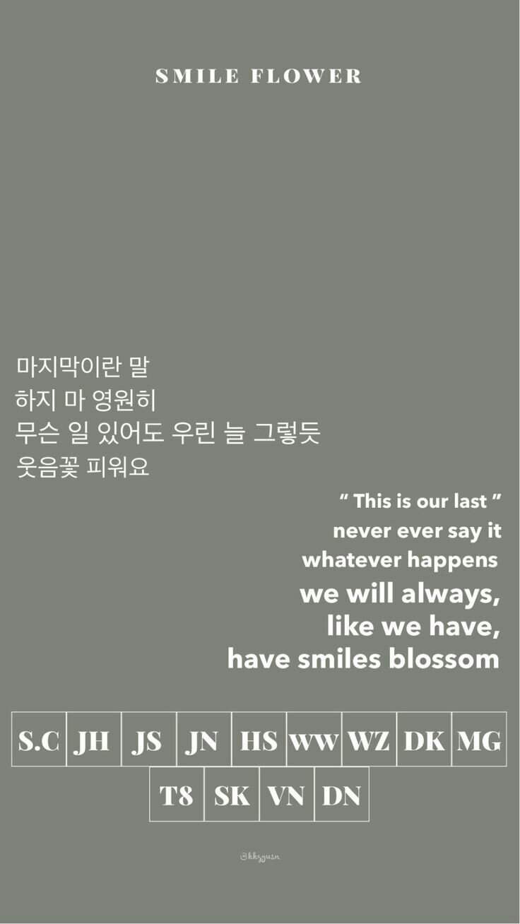 736x1308 Seventeen wallpaper