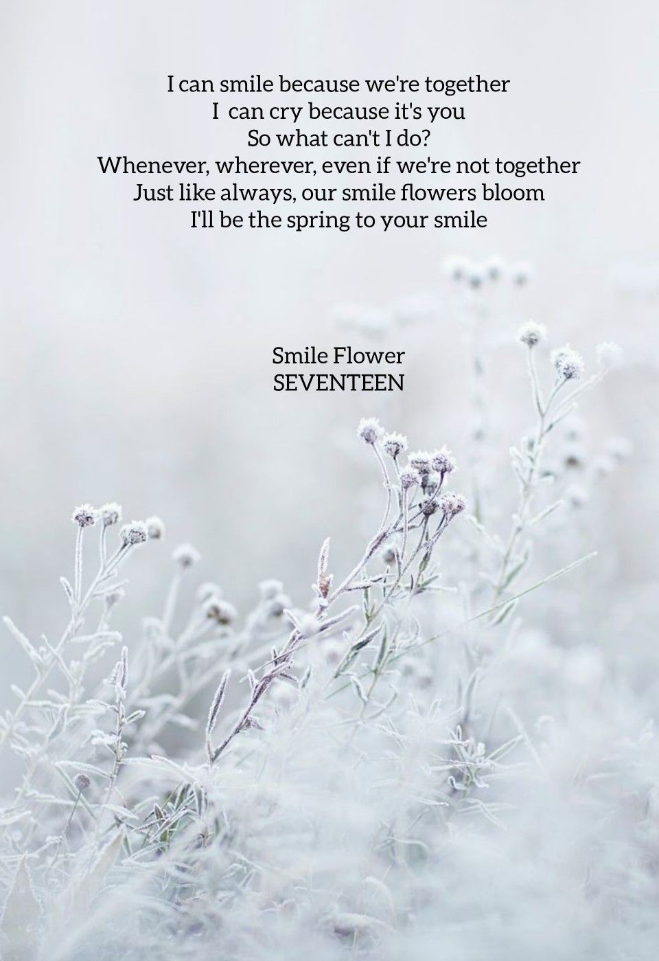 цветы 17 seventeen текст