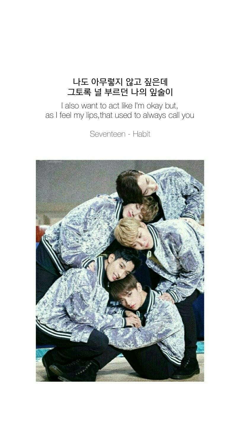 810x1442 Download SEVENTEEN Habit Lyrics Wallpaper