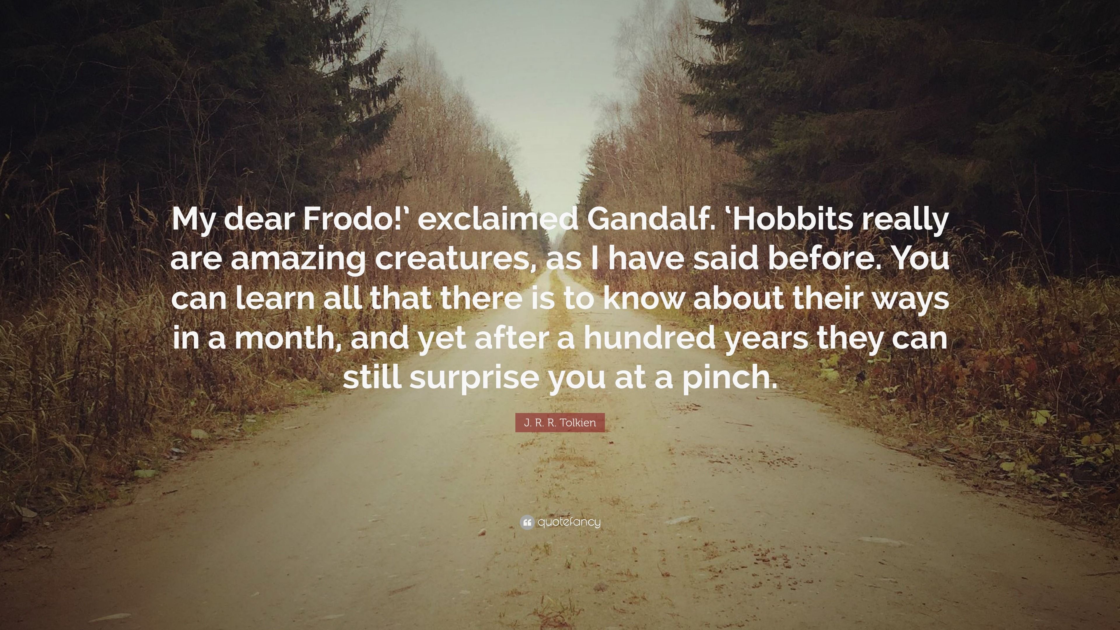 3840x2160 J. R. R. Tolkien Quote: “My dear Frodo!' exclaimed Gandalf. 'Hobbits really are amazing creatures, as I have said before. You can learn all that .”