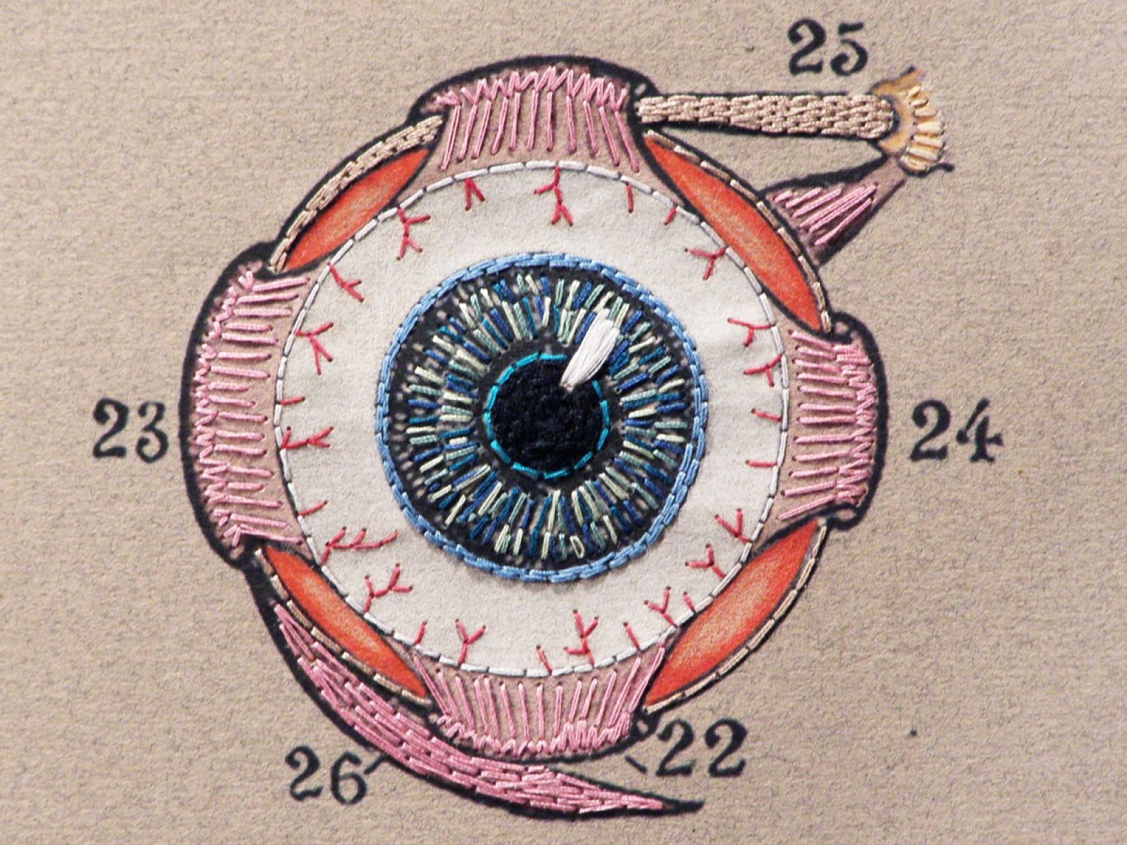 1600x1200 Eye Anatomy. Paper Embroidery by Fabulous Cat Papers