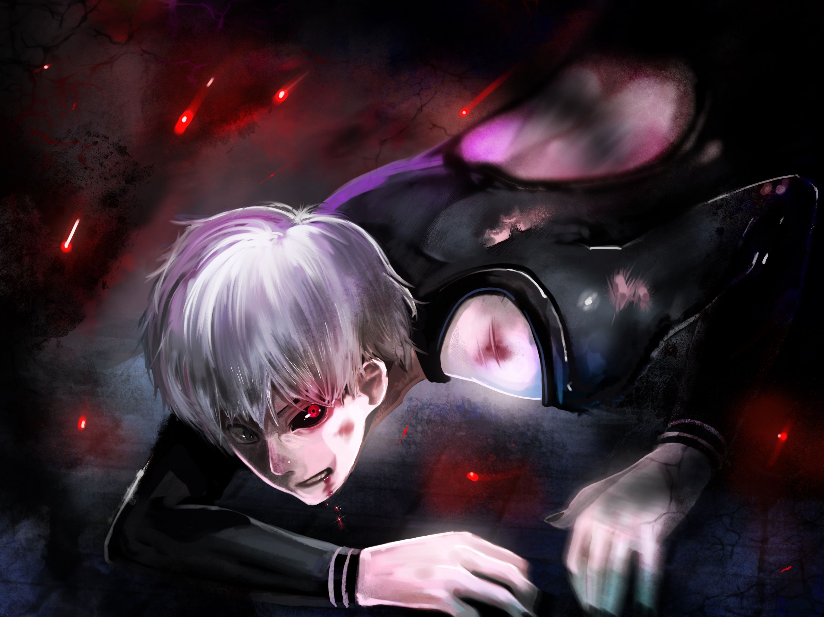 2732x2048 Anime Tokyo Ghoul HD Wallpaper by りゅう
