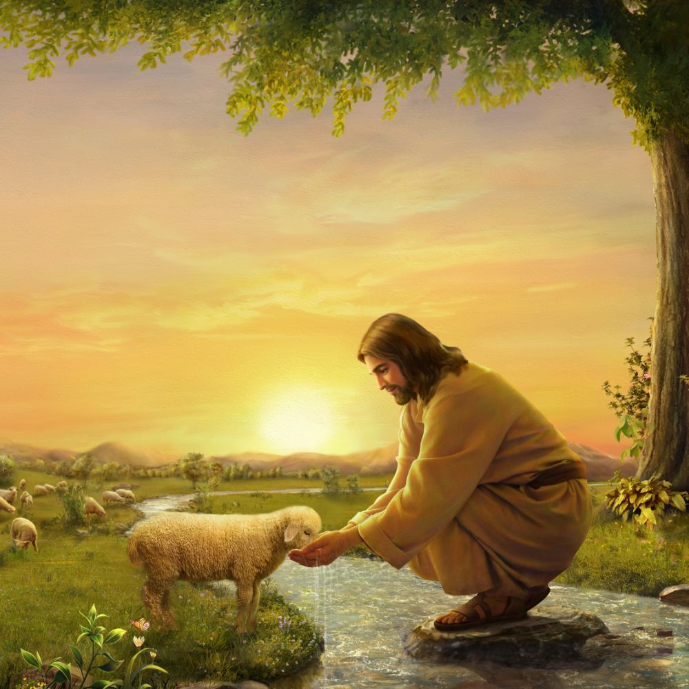 1000x1000 Jesus Shepherd Wallpaper