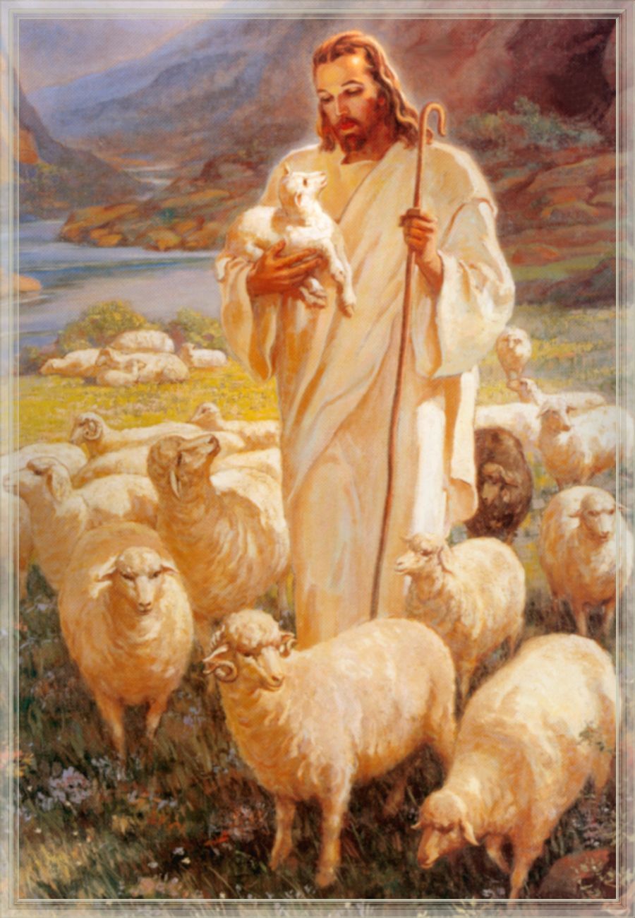 900x1300 Good Shepherd Image